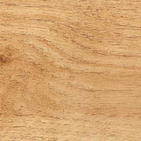 Quercia irlandese