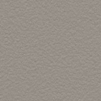 Grigio torio liscio